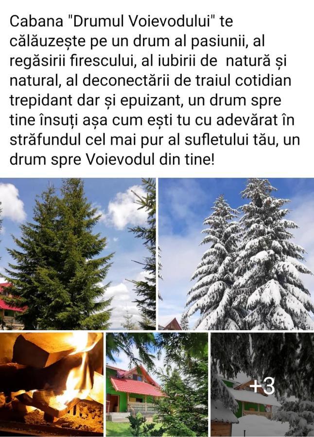 Cabana Drumul Voievodului Vulcan  Eksteriør billede